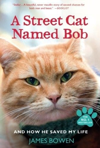 Cover of A Street Cat Named Bob by James Bowen