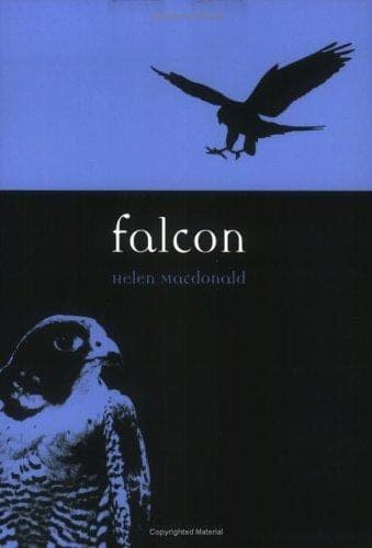 Cover of H Is for Hawk by Helen Macdonald
