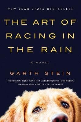 Cover of The Art of Racing in the Rain by Garth Stein