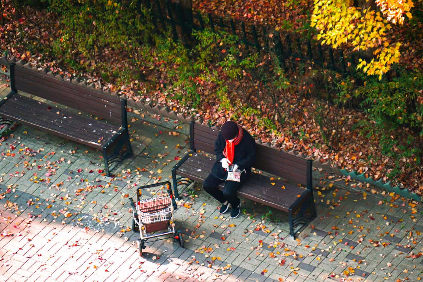 A book open on a park bench
